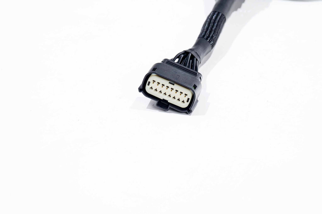 XBG Adapter Harness: 21-23 F-150 OE Projector LED
