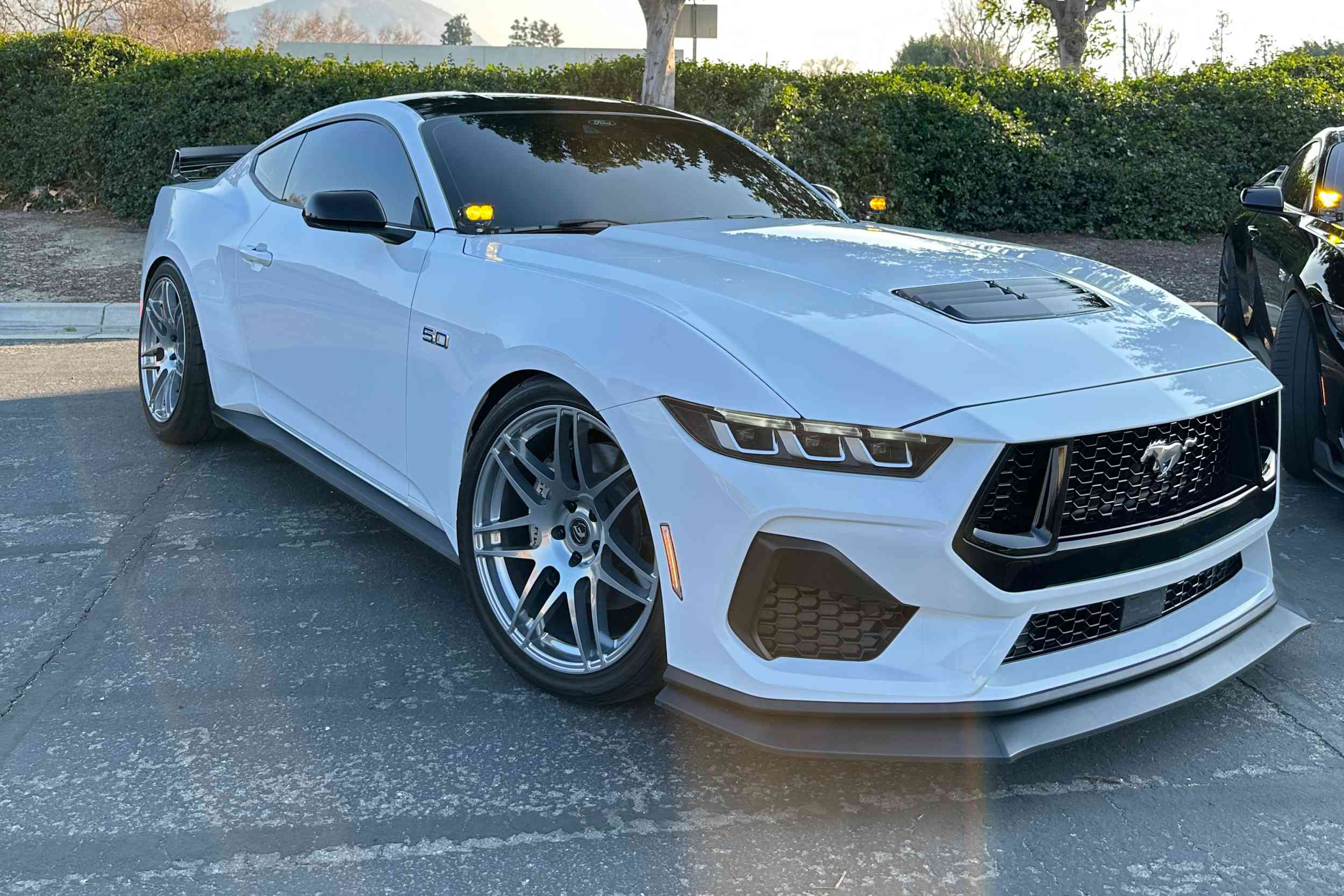 Morimoto 2Banger Ditch Light Kit: 24-26 Ford Mustang (NCS White Flood Beam)