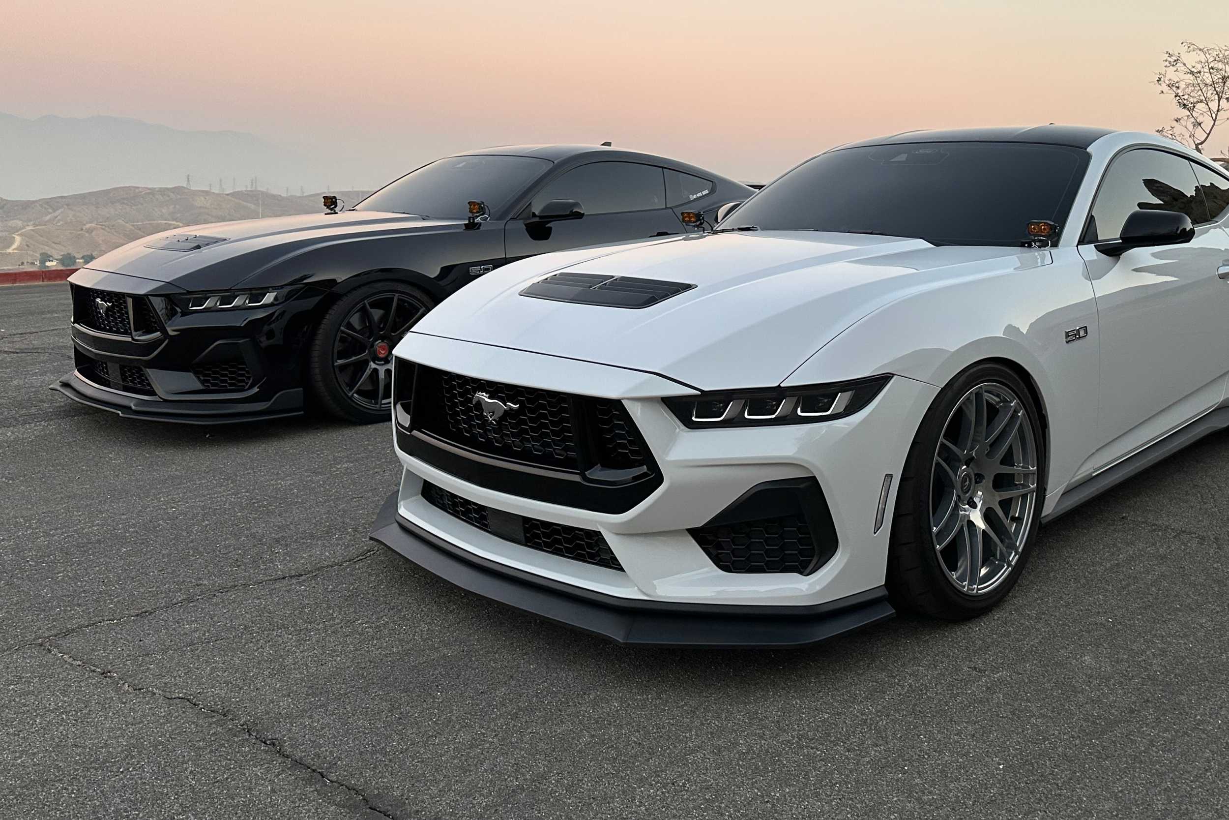 Morimoto 2Banger Ditch Light Kit: 24-26 Ford Mustang (HXB White Combo Beam)