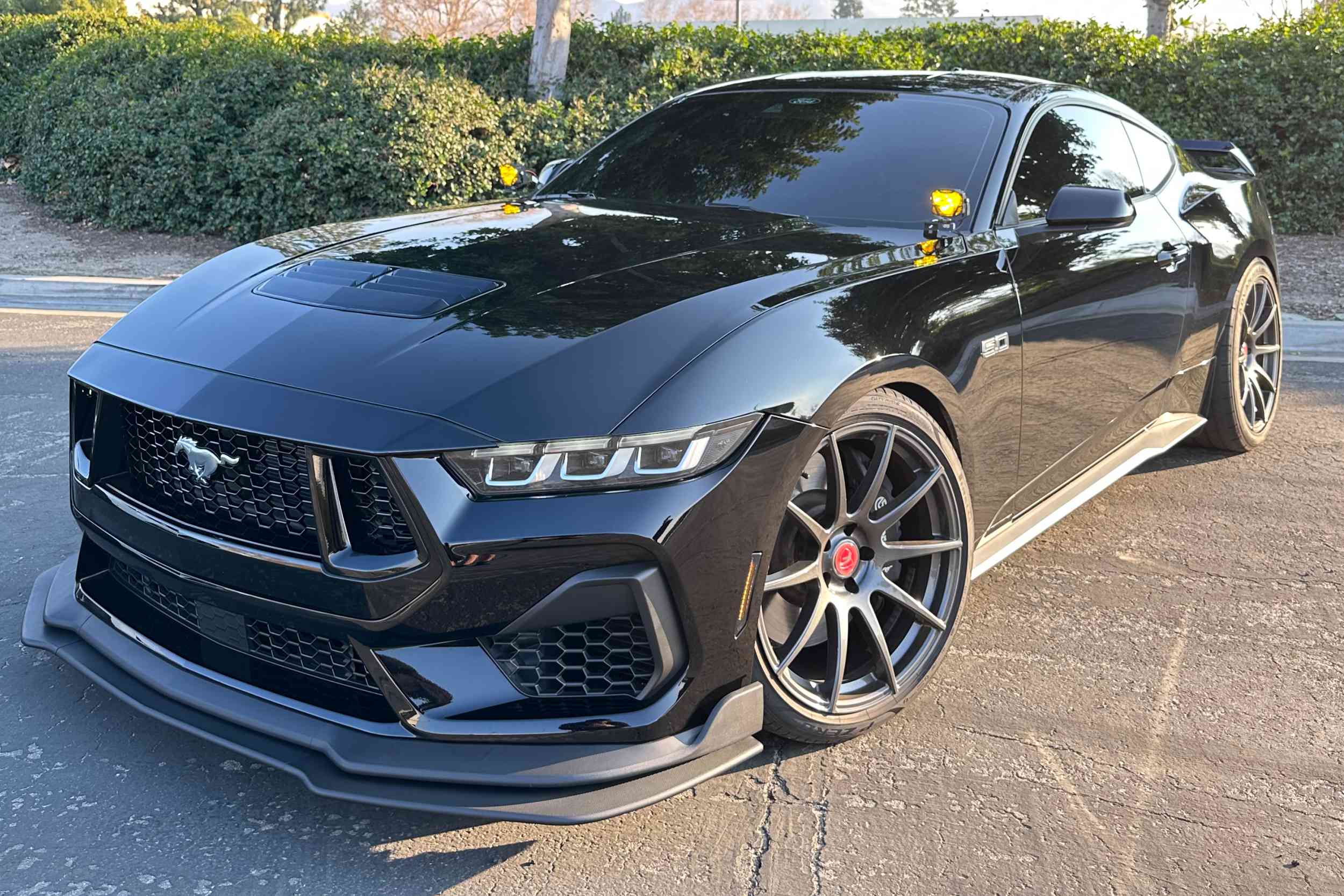 Morimoto 4Banger Ditch Light Kit: 24-26 Ford Mustang (NCS Yellow Spot Beam)