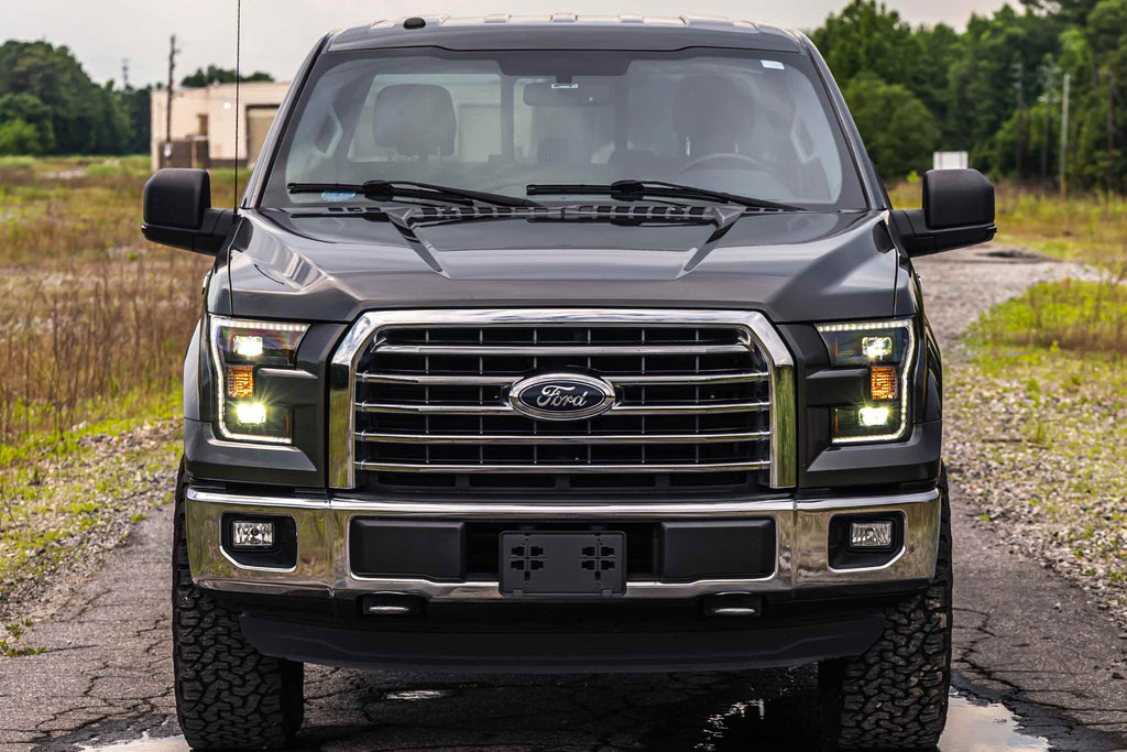 15-17 F-150 Hybrid Heads and Smoked Tails