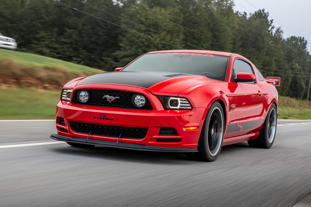 10-12 Mustang Heads and Red Tails
