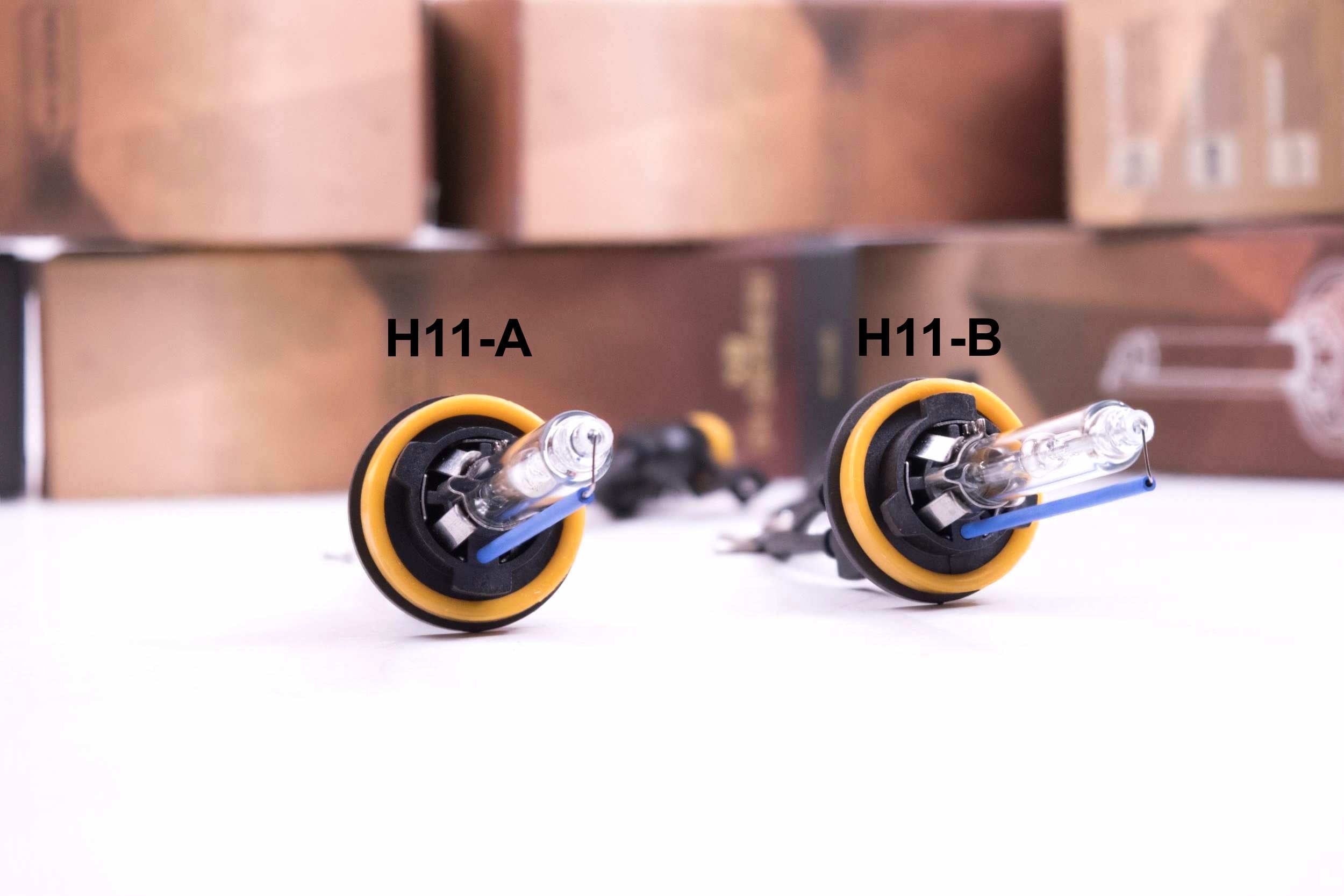 H11B/H9/H8: XB 3000K HID Bulbs (Pair)