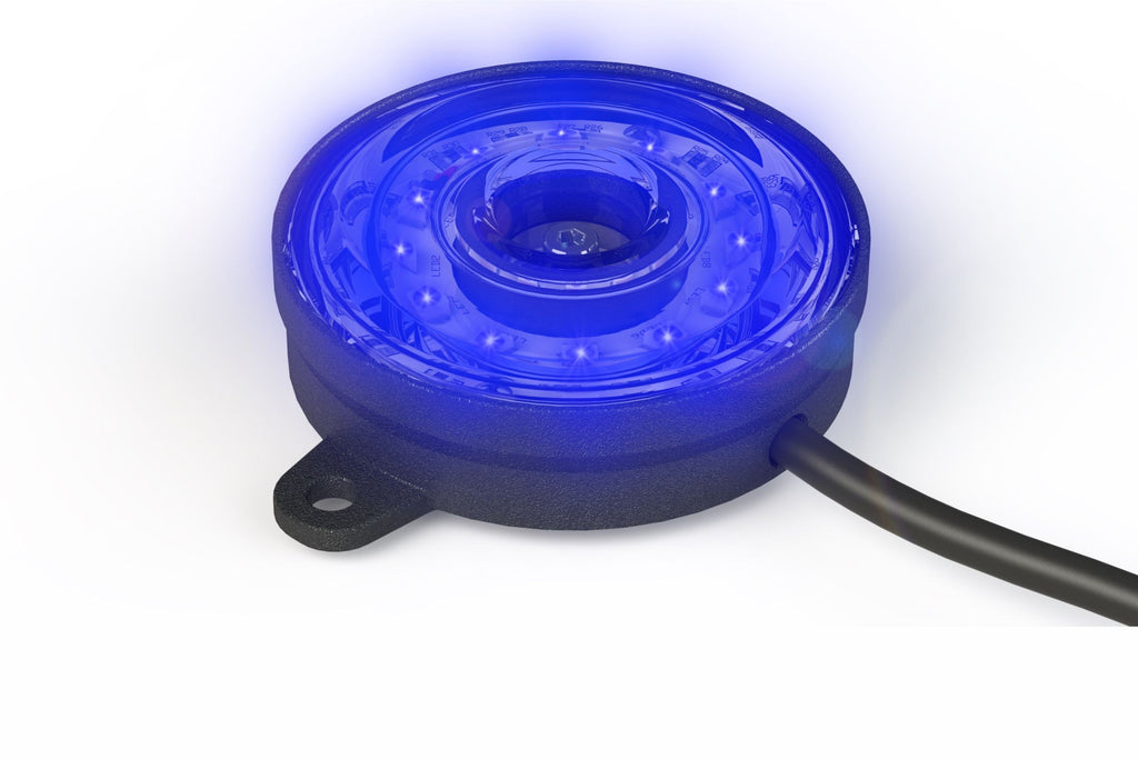 Rock Light: Profile Pixel (Blue)