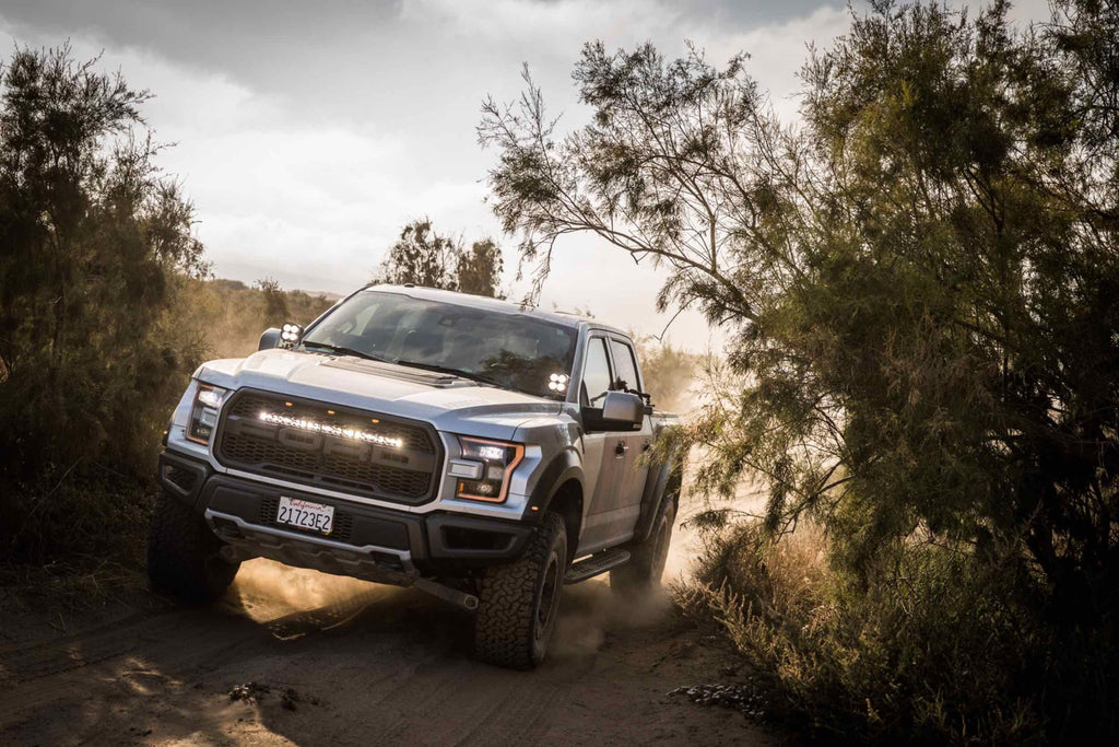 BD Ditch Light LED System: Ford F150 Raptor (10-14) (Squadron Pro)