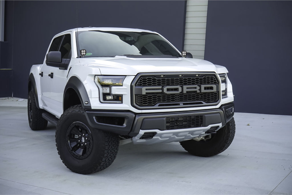 BD Ditch Light LED System: Ford F150 Raptor (17-20) (Squadron Sport)