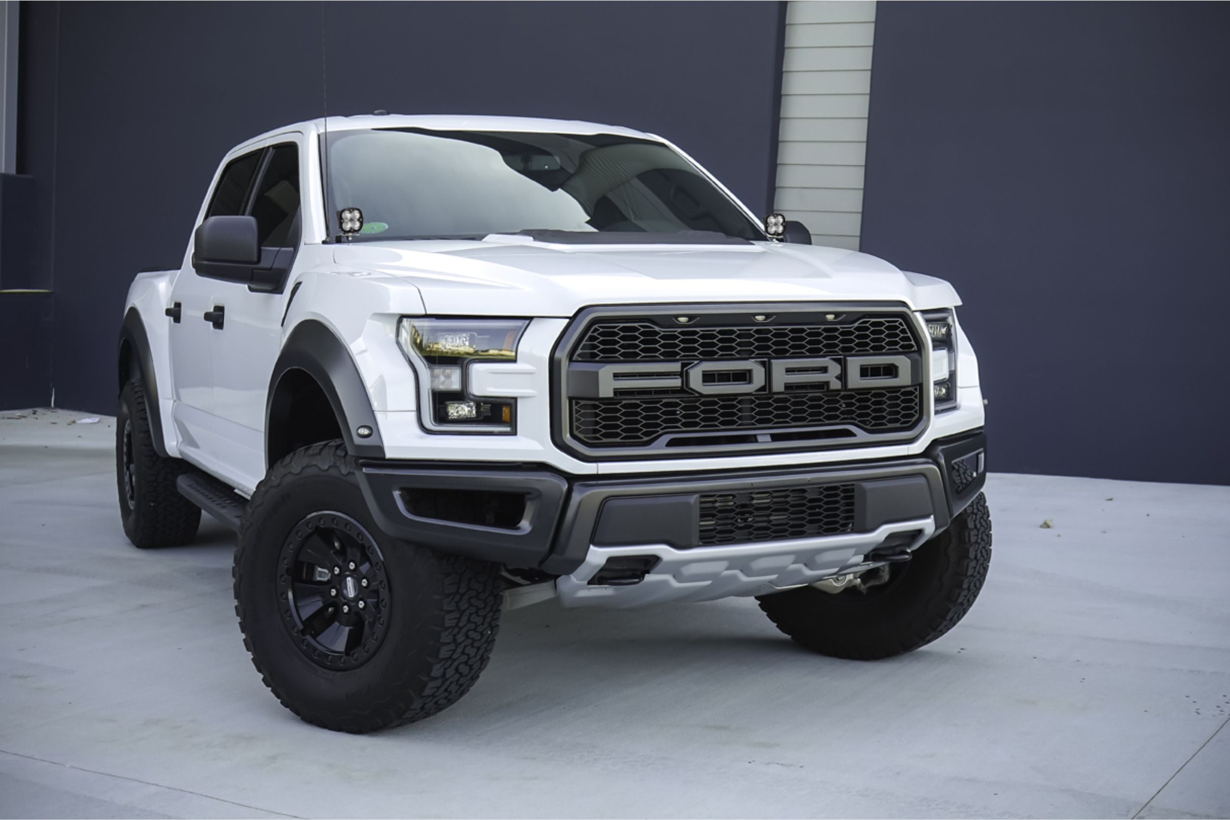 BD Ditch Light LED System: Ford F150 Raptor (17-20) (Squadron Sport)