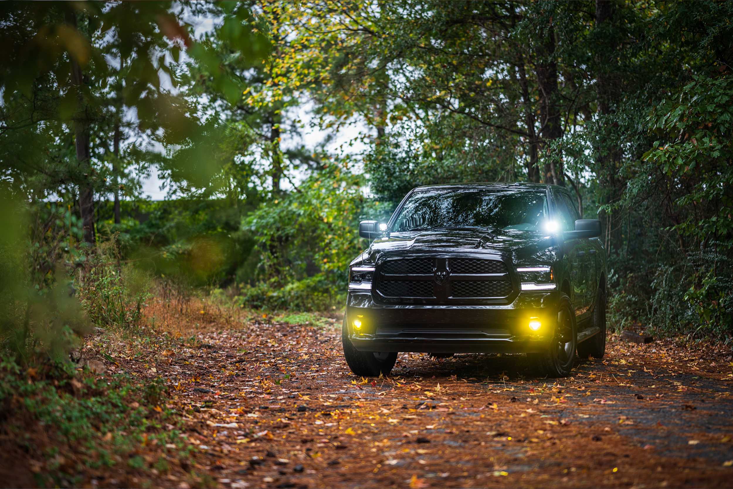 Morimoto 4Banger Ditch Light Kit: 09-18 Ram (HXB Yellow Spot Beam)